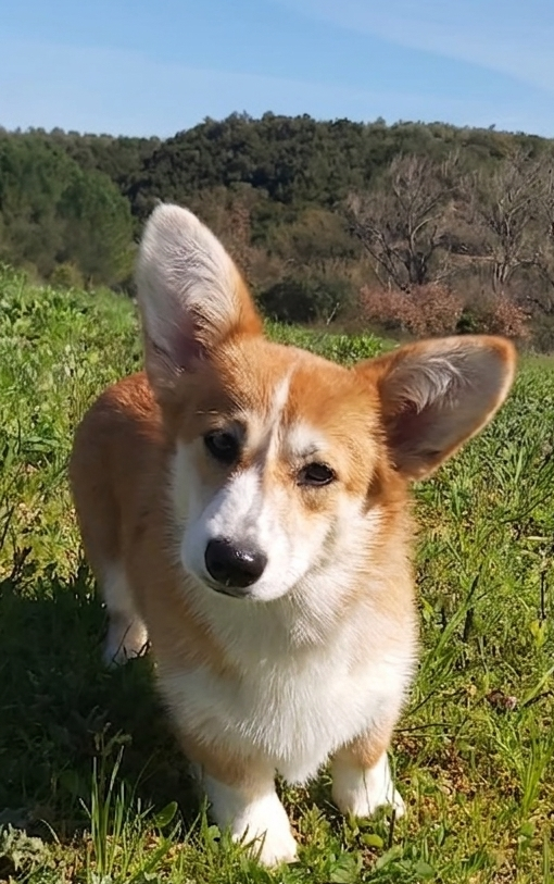 Alaskaaa